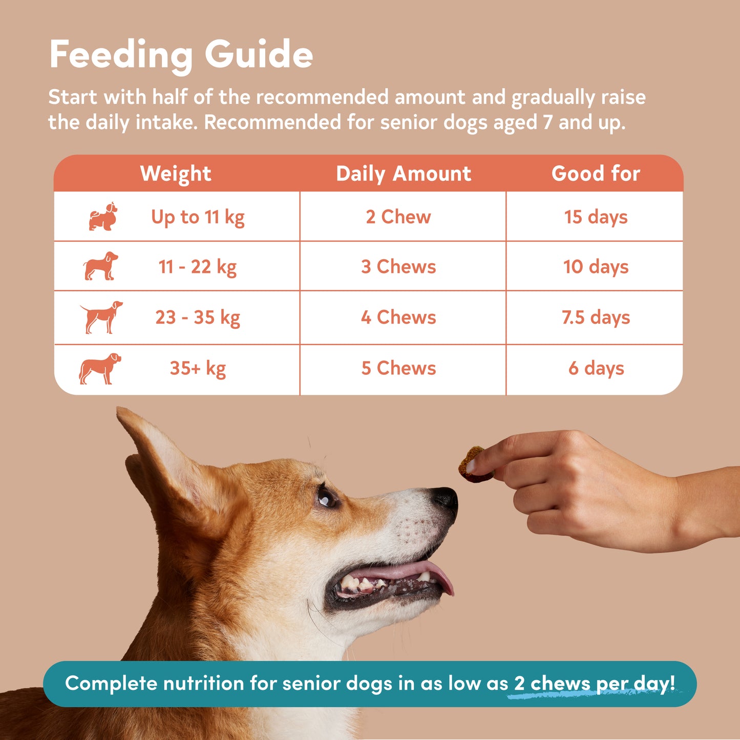 All Furr One Senior Dog Bites (75g)