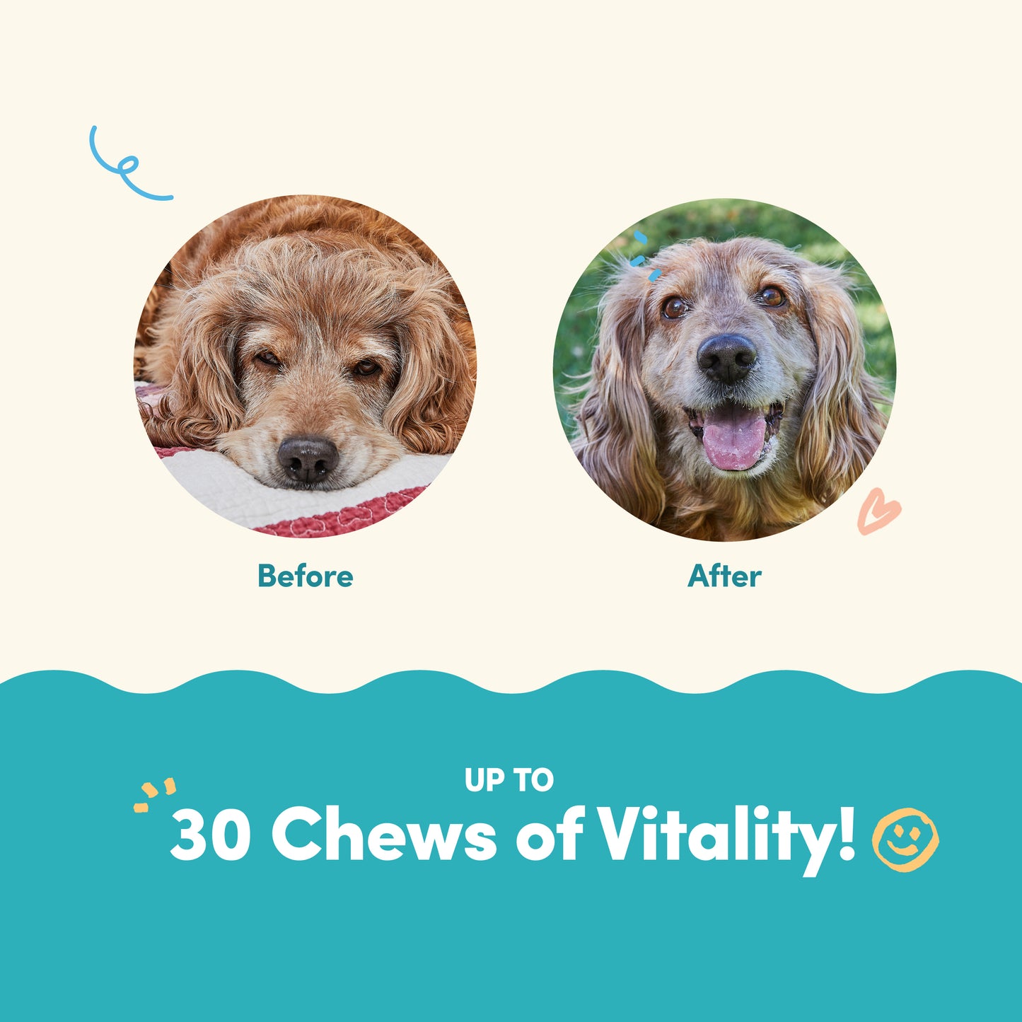 All Furr One Senior Dog Bites (75g)