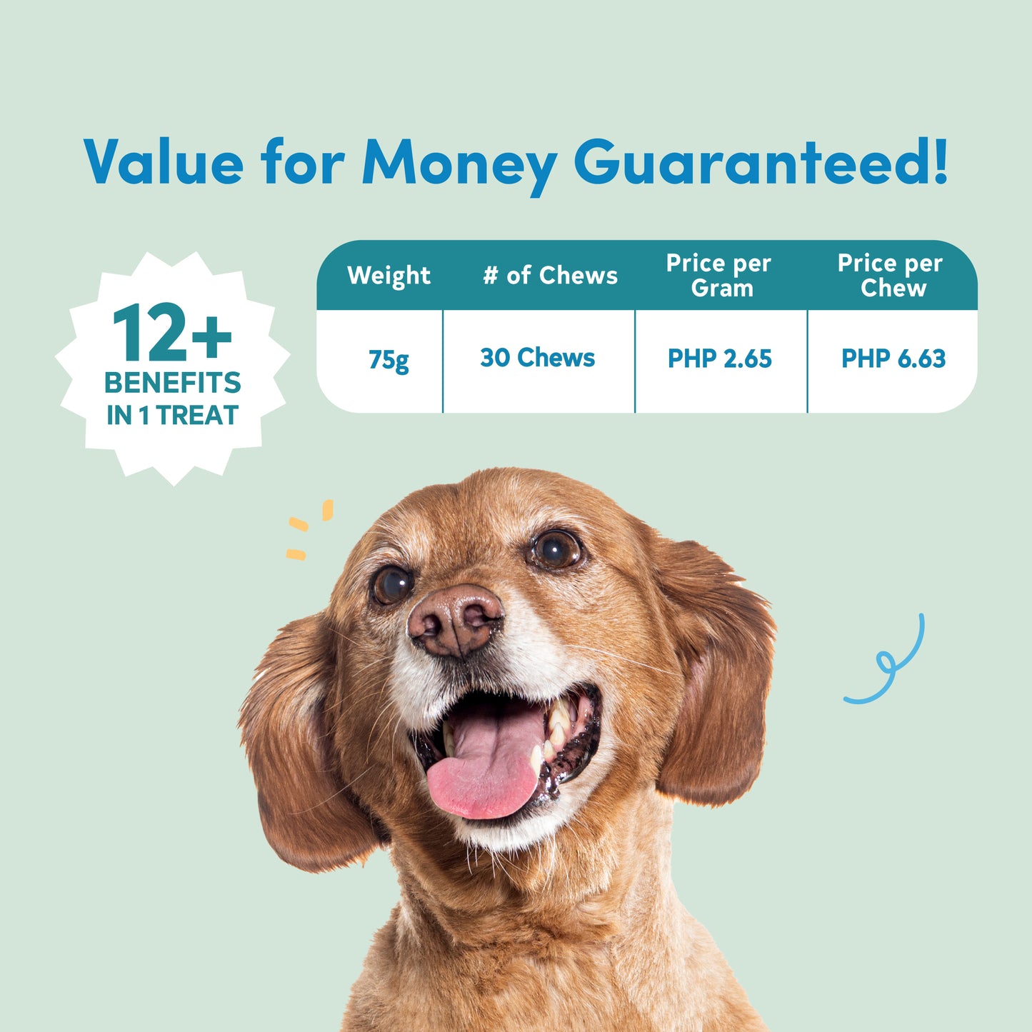 All Furr One Senior Dog Bites (75g)