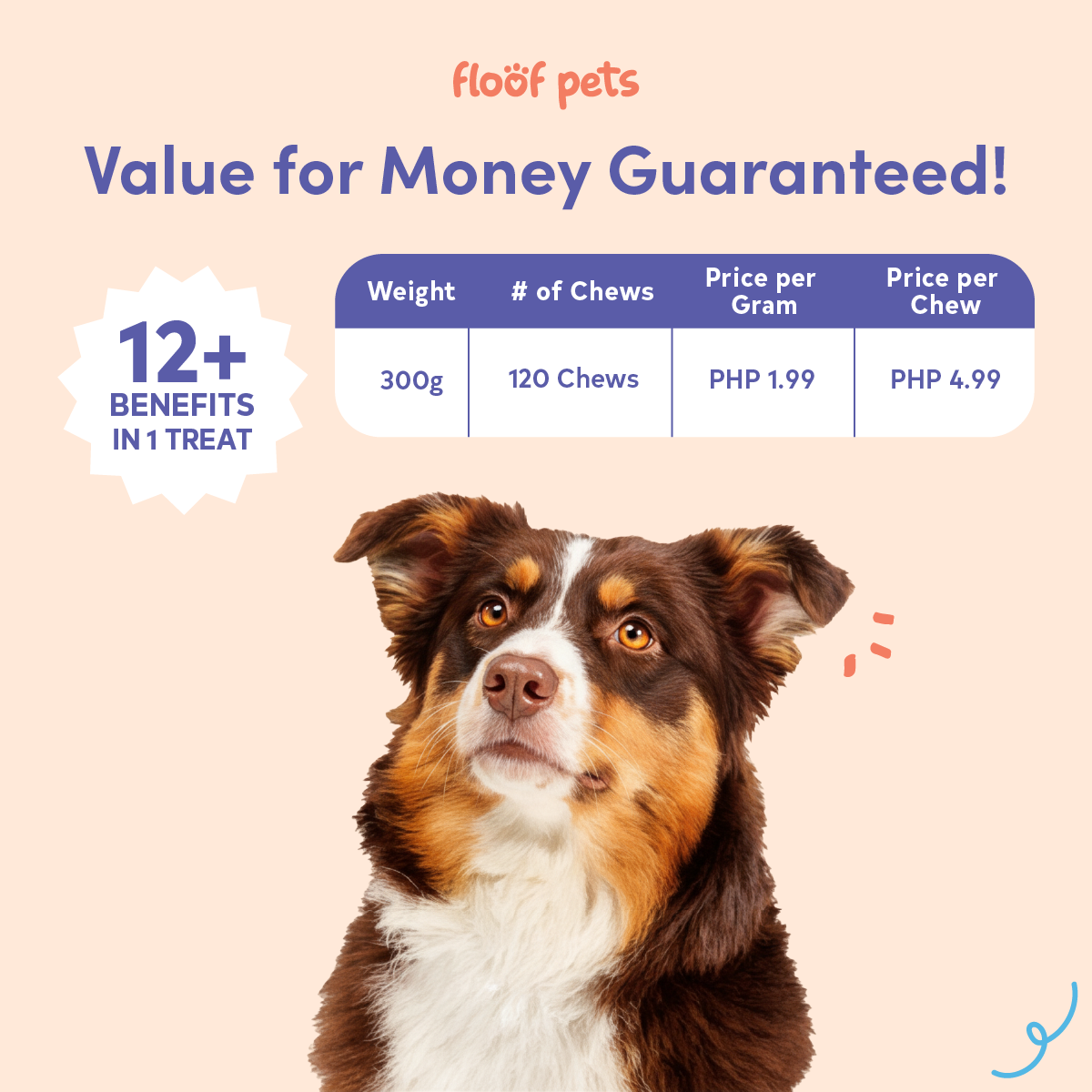 Floof Pets Dog Calming Bites 120 Chews (300g) Treat Snack Supplements for Stress & Anxiety Relief