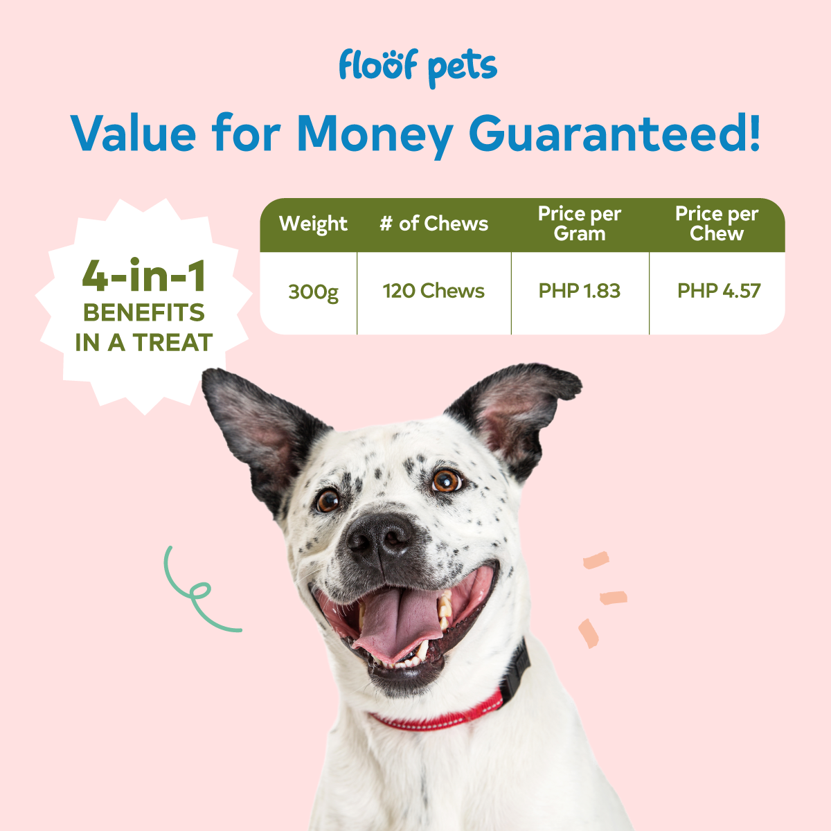 Floof Pets 4-in-1 Allergy & Immunity 120 Chews (300g) Treat Snack Supplements for Allergies and Immunity Relief