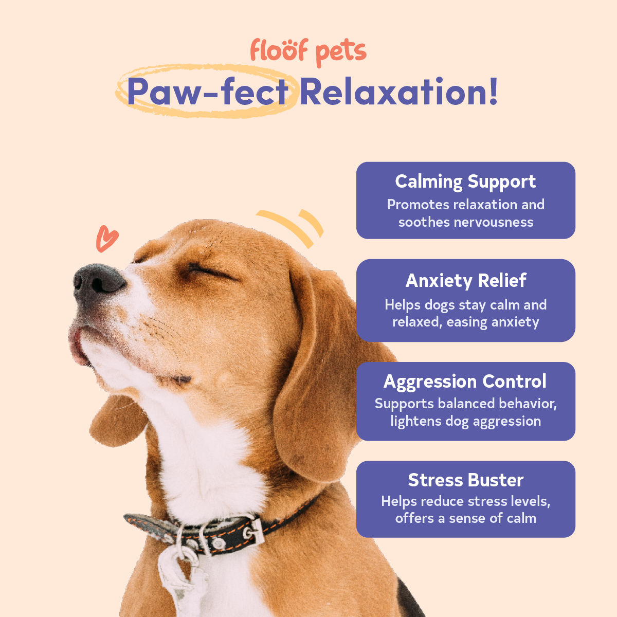 Floof Pets Dog Calming Bites 120 Chews (300g) Treat Snack Supplements for Stress & Anxiety Relief