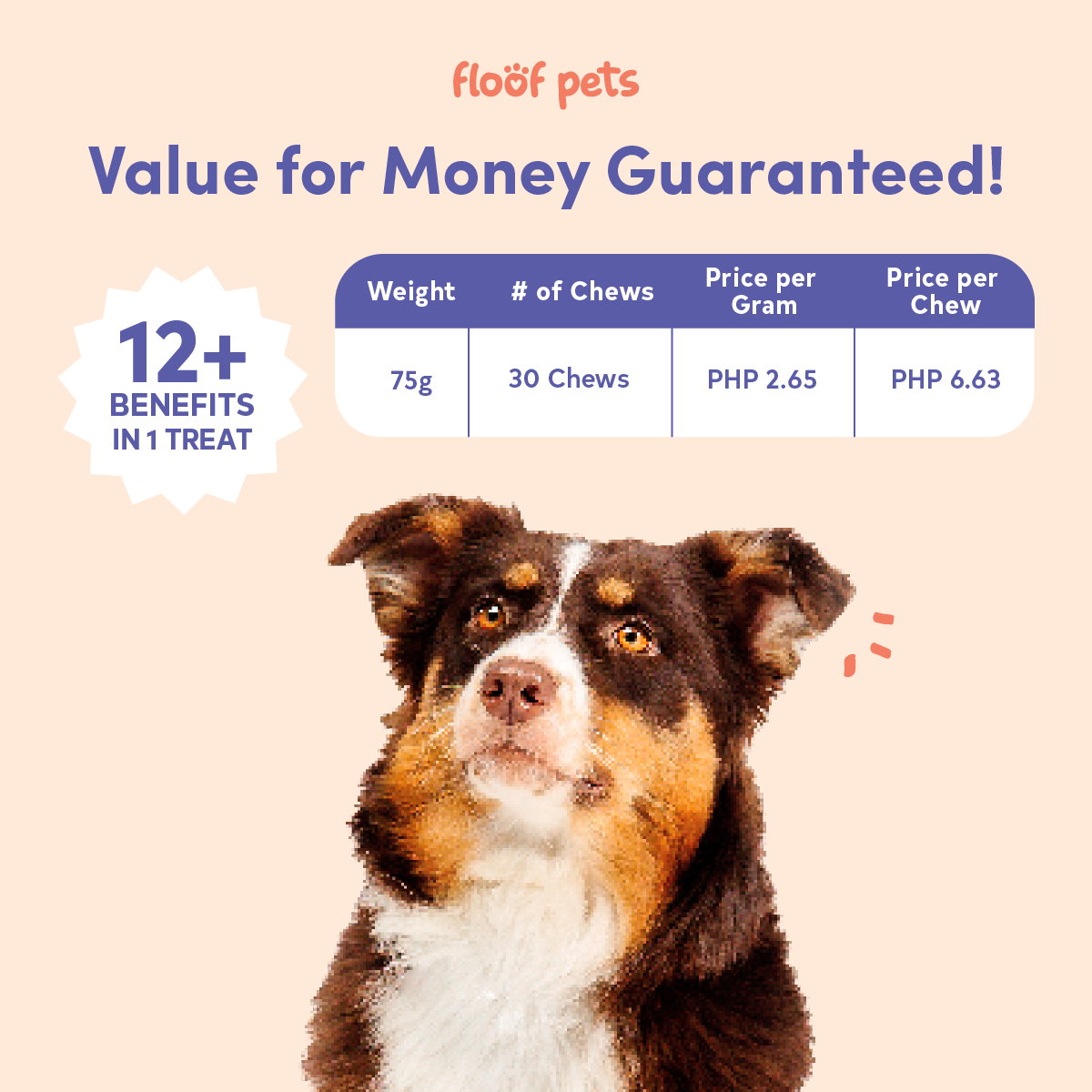 Floof Pets Dog Calming Bites 120 Chews (300g) Treat Snack Supplements for Stress & Anxiety Relief