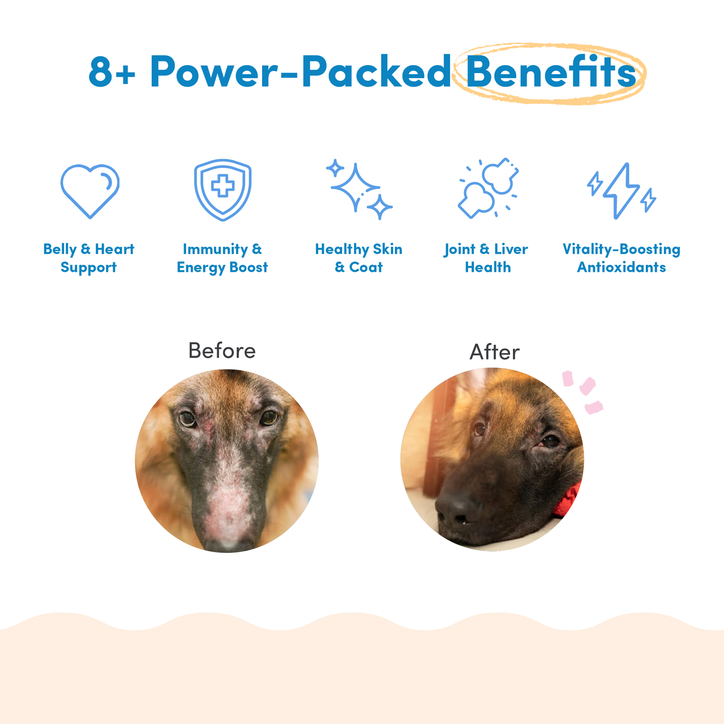 All Furr One Dog Multivitamins (300g)