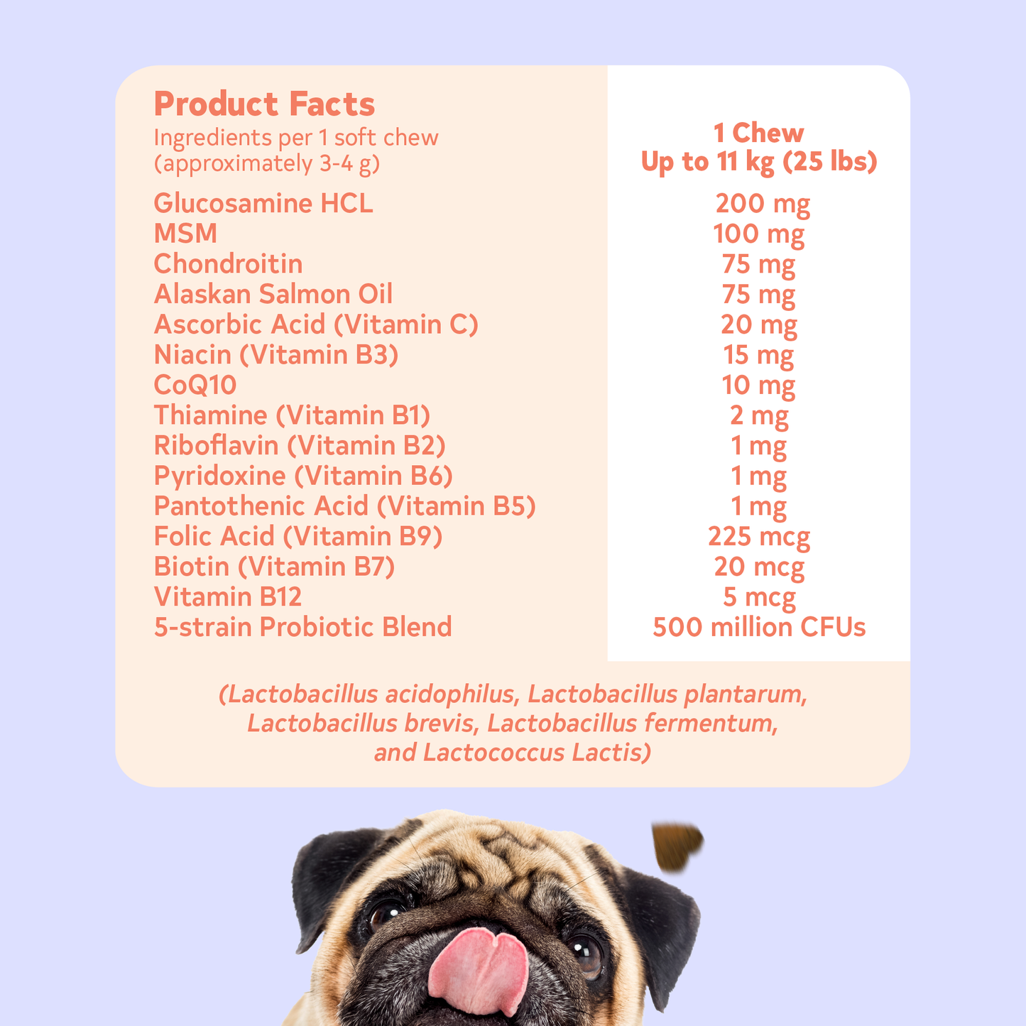 All Furr One Dog Multivitamins (300g)