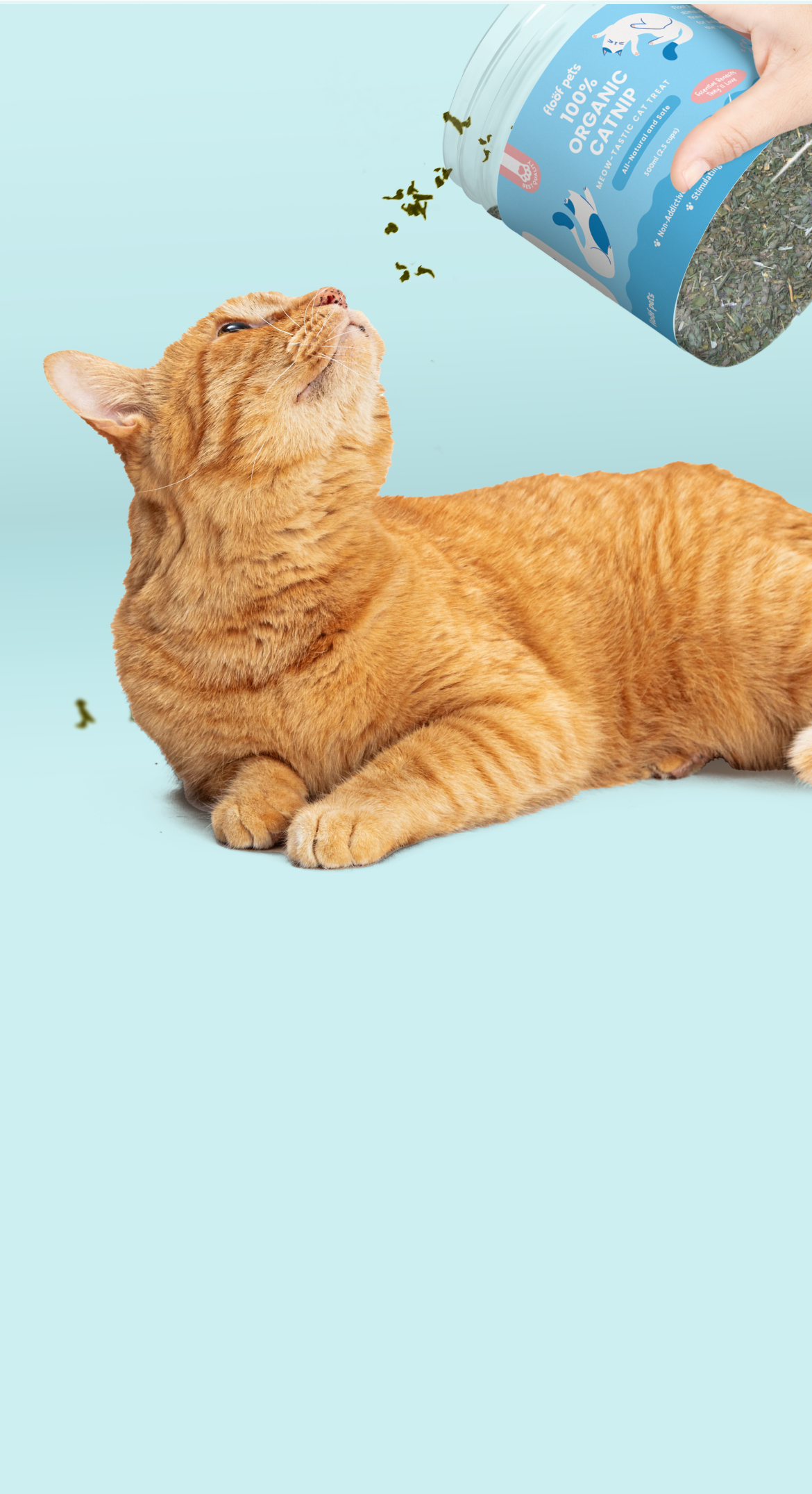 Super Happy Organic Catnip with Silver Vine - The Purrfect Post