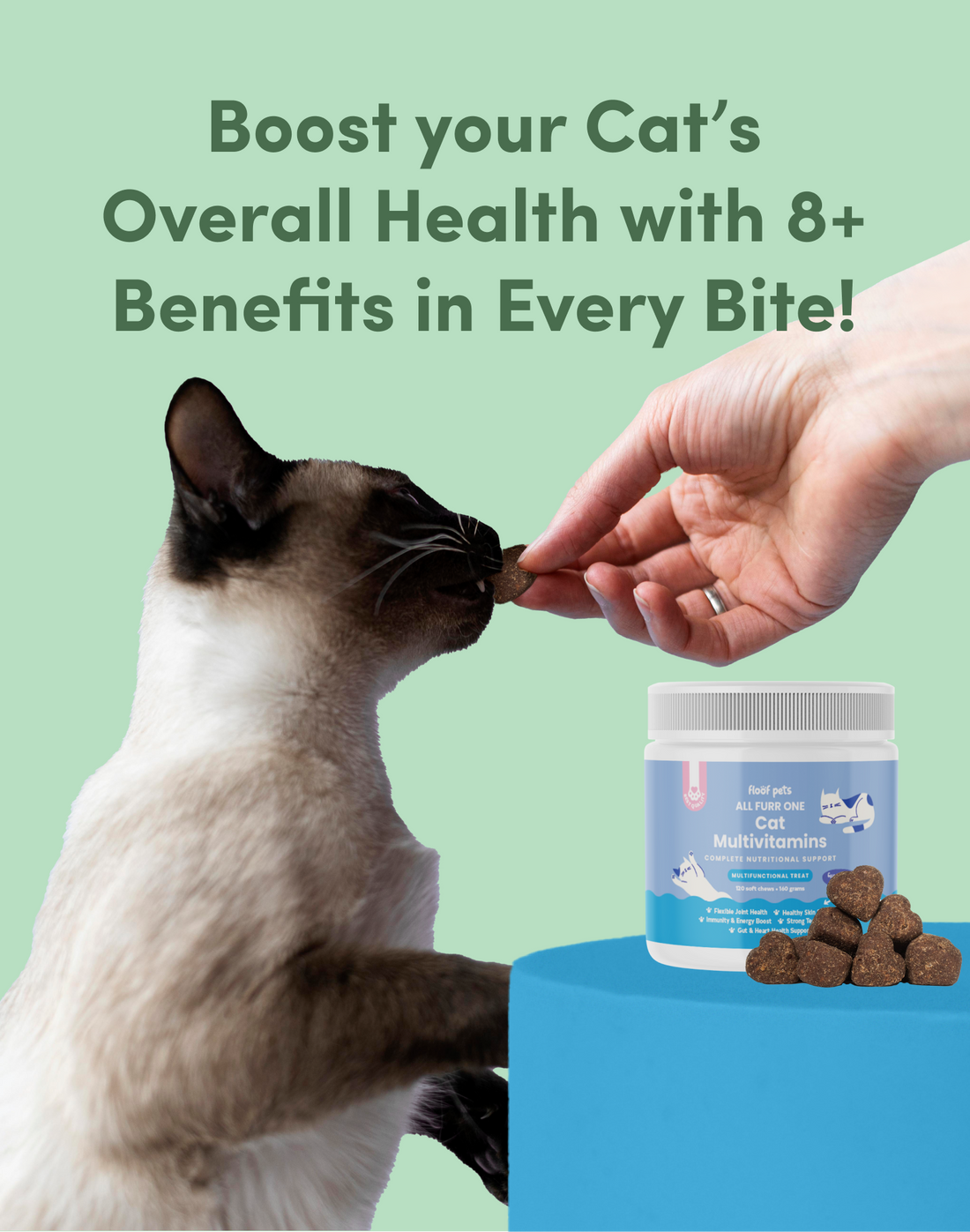 All Furr One Cat Multivitamins Floof Pets