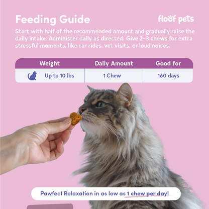 Floof Pets Cat Calming Bites 160 Chews (210g) Treat Snack Supplements for Stress & Anxiety Relief