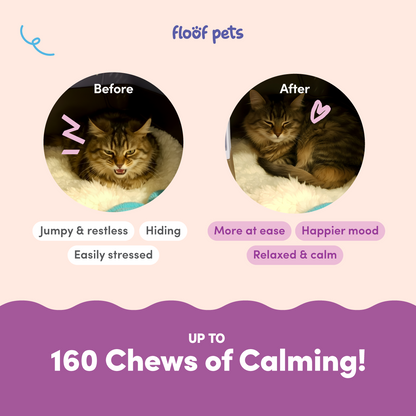 Floof Pets Cat Calming Bites 160 Chews (210g) Treat Snack Supplements for Stress & Anxiety Relief