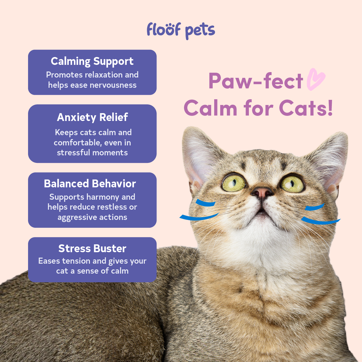 Floof Pets Cat Calming Bites 30 Chews (39g) Treat Snack Supplements for Stress & Anxiety Relief