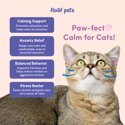 Floof Pets Cat Calming Bites 30 Chews (39g) Treat Snack Supplements for Stress & Anxiety Relief