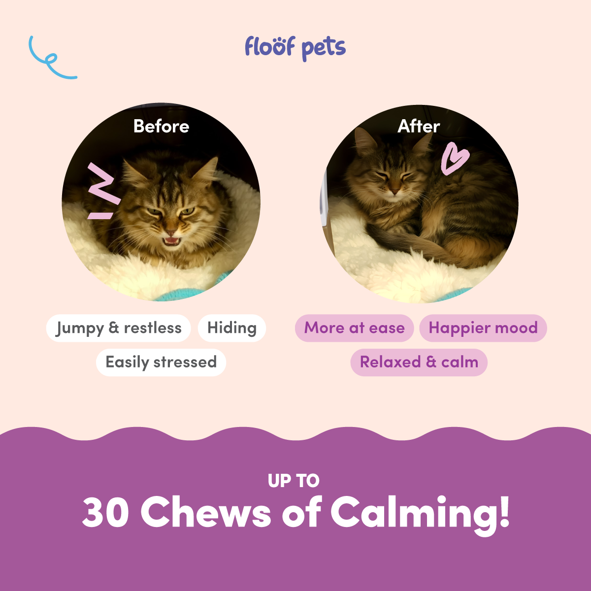 Floof Pets Cat Calming Bites 30 Chews (39g) Treat Snack Supplements for Stress & Anxiety Relief