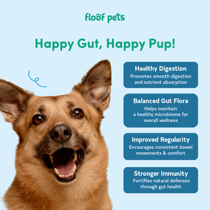 Floof Pets 2-in-1 Pre+Probiotic Support Gut Health 120 Chews (300g) Treat Snack Supplement to Strengthen Digestion & Overall Gut Health