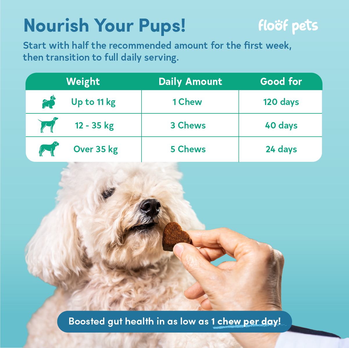 Floof Pets 2-in-1 Pre+Probiotic Support Gut Health 120 Chews (300g) Treat Snack Supplement to Strengthen Digestion & Overall Gut Health