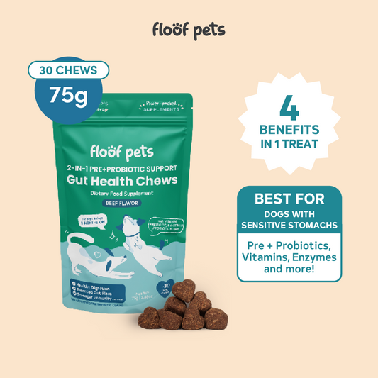 Floof Pets 2-in-1 Pre+Probiotic Support Gut Health 30 Chews (75g)  Treat Snack Supplement to Strengthen Digestion & Overall Gut Health
