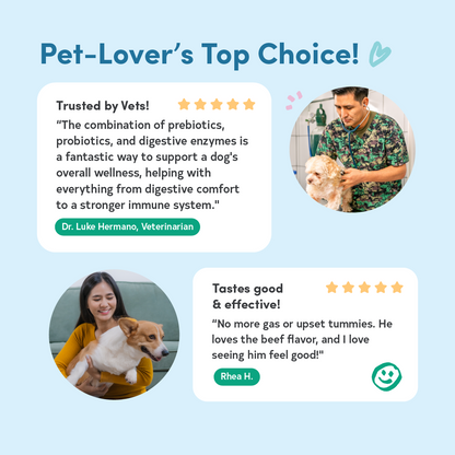 Floof Pets 2-in-1 Pre+Probiotic Support Gut Health 30 Chews (75g)  Treat Snack Supplement to Strengthen Digestion & Overall Gut Health