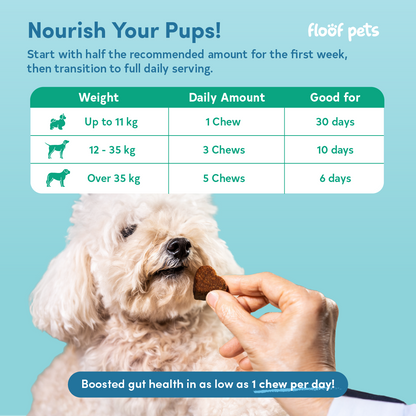 Floof Pets 2-in-1 Pre+Probiotic Support Gut Health 30 Chews (75g)  Treat Snack Supplement to Strengthen Digestion & Overall Gut Health