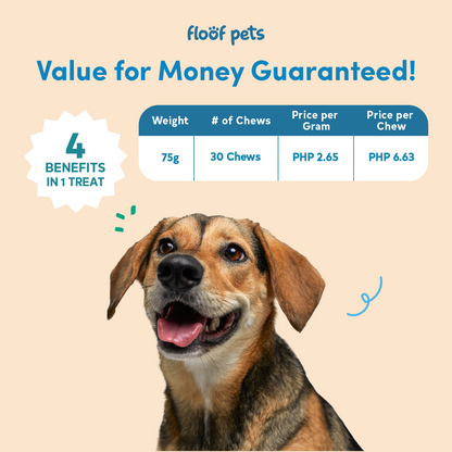 Floof Pets 2-in-1 Pre+Probiotic Support Gut Health 30 Chews (75g)  Treat Snack Supplement to Strengthen Digestion & Overall Gut Health