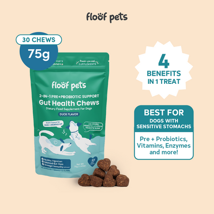 Floof Pets 2-in-1 Pre+Probiotic Support Gut Health Treat Snack Supplement to Strengthen Digestion & Overall Gut Health