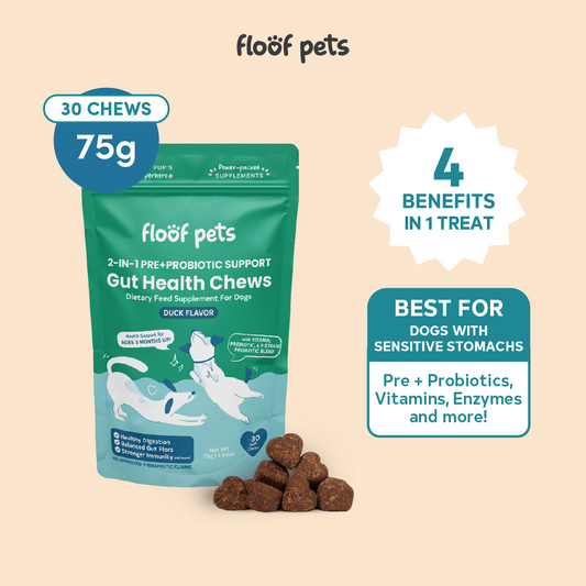 Floof Pets 2-in-1 Pre+Probiotic Support Gut Health Treat Snack Supplement to Strengthen Digestion & Overall Gut Health