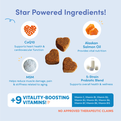 All Furr One Cat Multivitamins (120g)