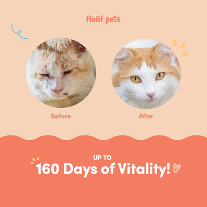 All Furr One Cat Multivitamins (120g)