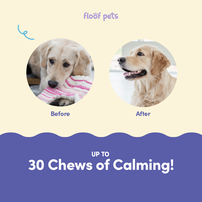 All Furr One Calming Dog Bites (75g)