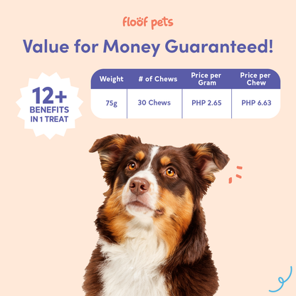 All Furr One Calming Dog Bites (75g)