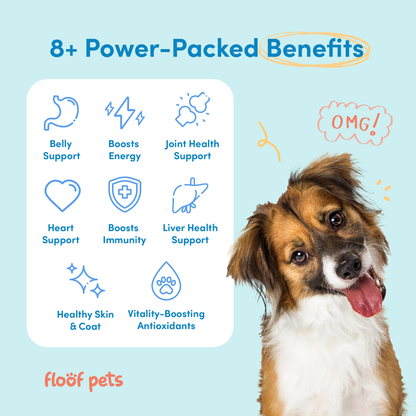 Floof Pets 8-in-1 Dog Multivitamins Pet Supplement Treat Snacks for Complete Health