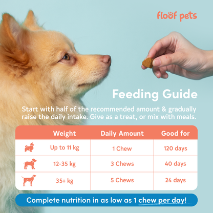 Floof Pets 8-in-1 Dog Multivitamins Pet Supplement Treat Snacks for Complete Health