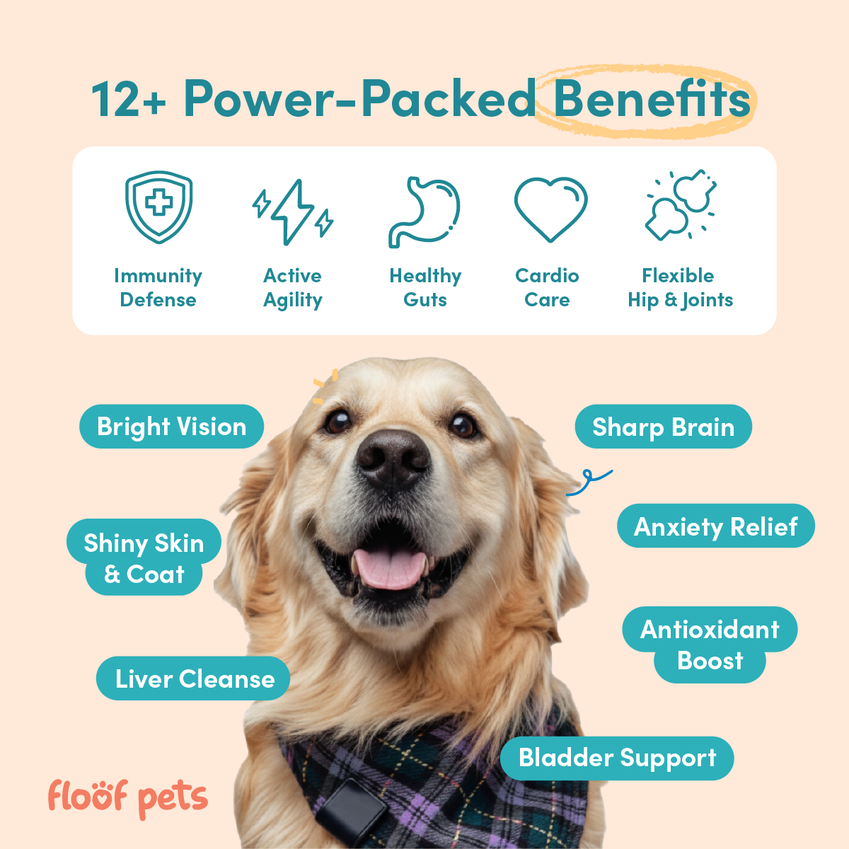 All Furr One Senior Dog Bites (75g)