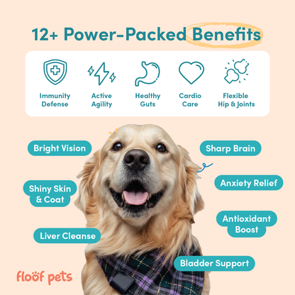 All Furr One Senior Dog Bites (75g)