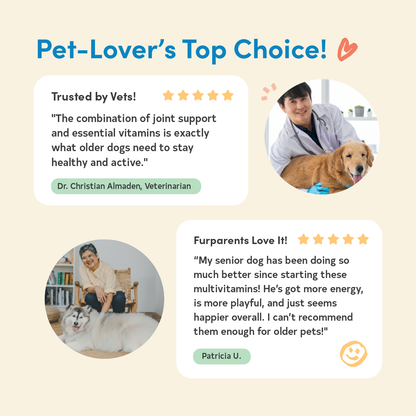 All Furr One Senior Dog Bites (75g)