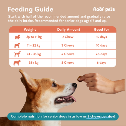 All Furr One Senior Dog Bites (75g)