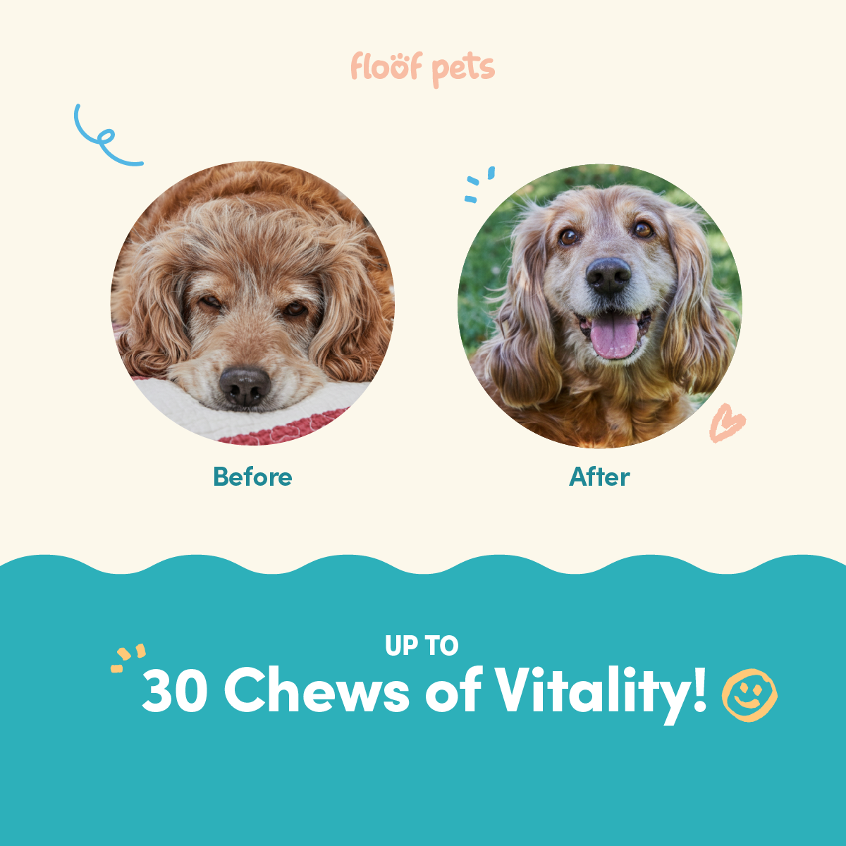 All Furr One Senior Dog Bites (75g)