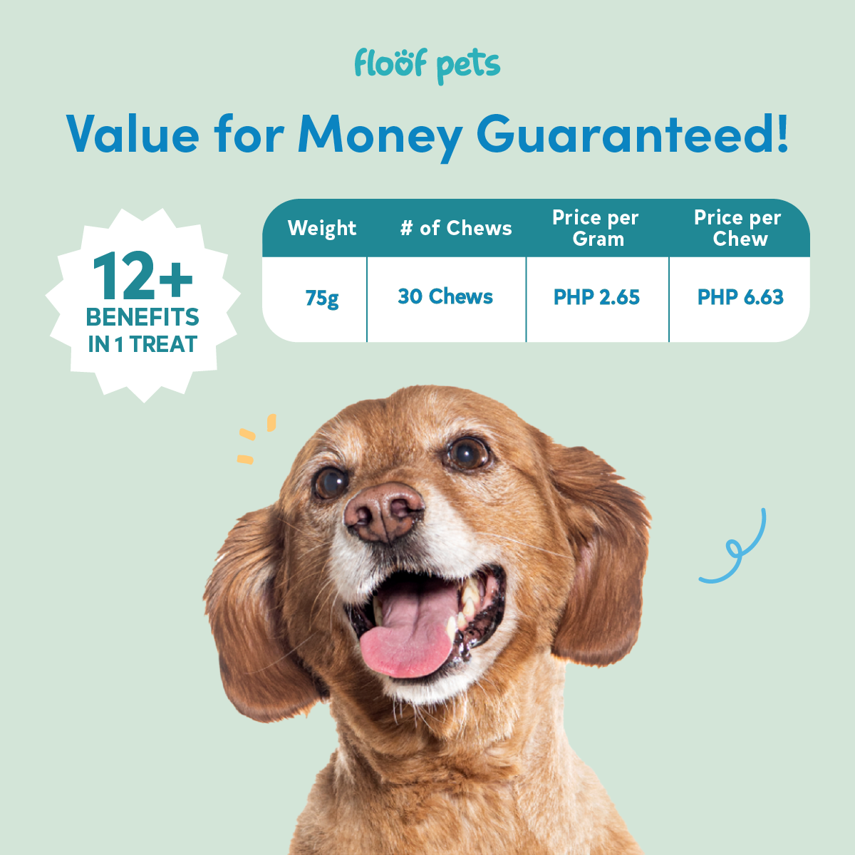 All Furr One Senior Dog Bites (75g)