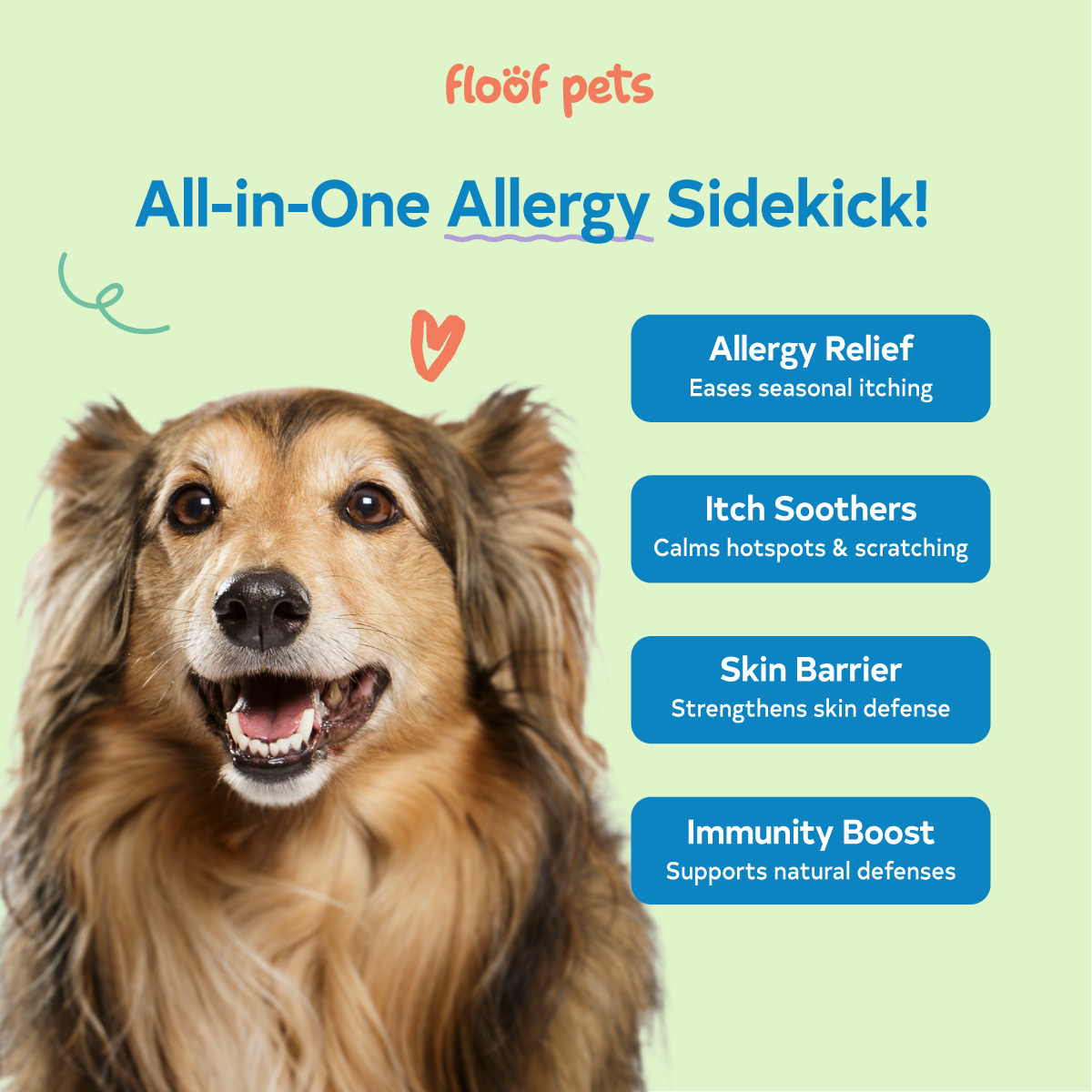 Floof Pets 4-in-1 Allergy & Immunity 30 Chews (75g) Treat Snack Supplements for Allergies and Immunity Relief
