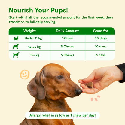 Floof Pets 4-in-1 Allergy & Immunity 30 Chews (75g) Treat Snack Supplements for Allergies and Immunity Relief