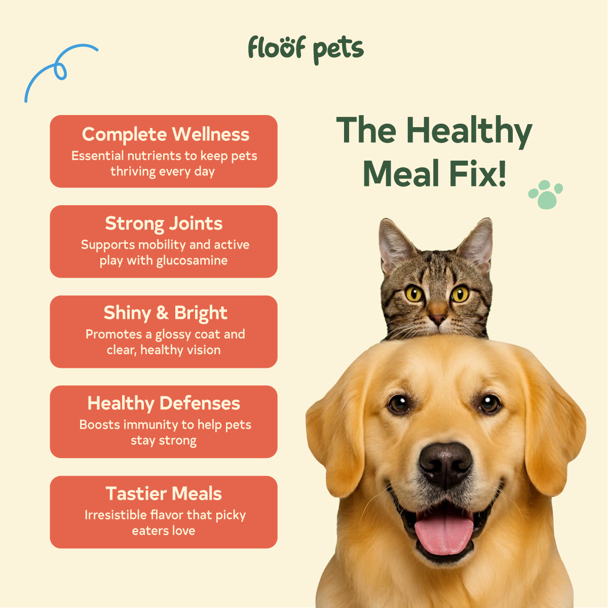 Floof Pets Flavor and Nutrition Fix Meal Topper - Chicken Flavor 100g  Boosts Appetite, Energy & Daily Wellness