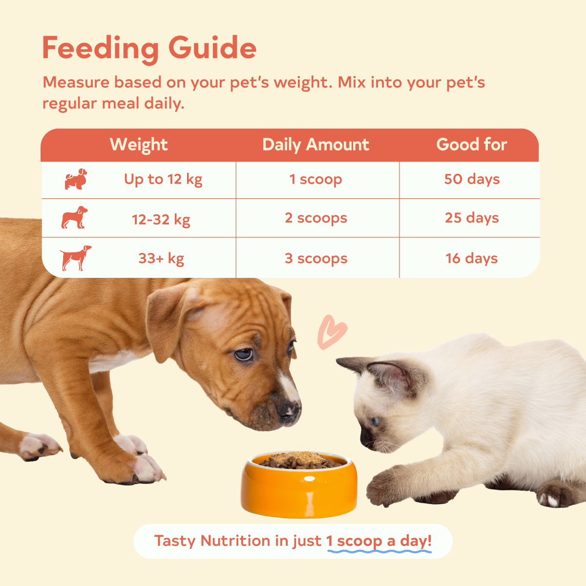 Floof Pets Flavor and Nutrition Fix Meal Topper - Chicken Flavor 100g  Boosts Appetite, Energy & Daily Wellness