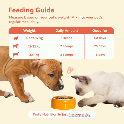 Floof Pets Flavor and Nutrition Fix Meal Topper - Chicken Flavor 100g  Boosts Appetite, Energy & Daily Wellness