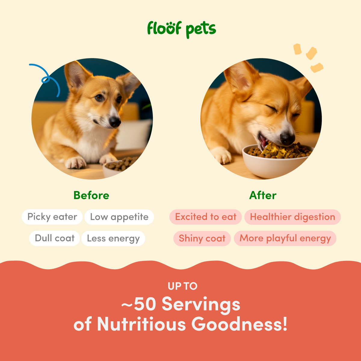 Floof Pets Flavor and Nutrition Fix Meal Topper - Chicken Flavor 100g  Boosts Appetite, Energy & Daily Wellness