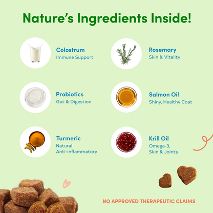 Floof Pets 4-in-1 Allergy & Immunity 120 Chews (300g) Treat Snack Supplements for Allergies and Immunity Relief