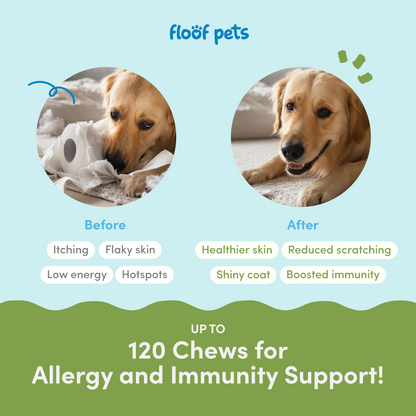Floof Pets 4-in-1 Allergy & Immunity 120 Chews (300g) Treat Snack Supplements for Allergies and Immunity Relief