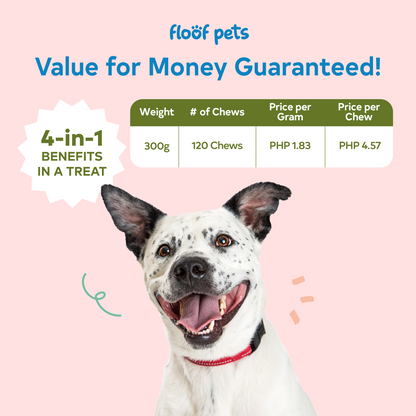 Floof Pets 4-in-1 Allergy & Immunity 120 Chews (300g) Treat Snack Supplements for Allergies and Immunity Relief