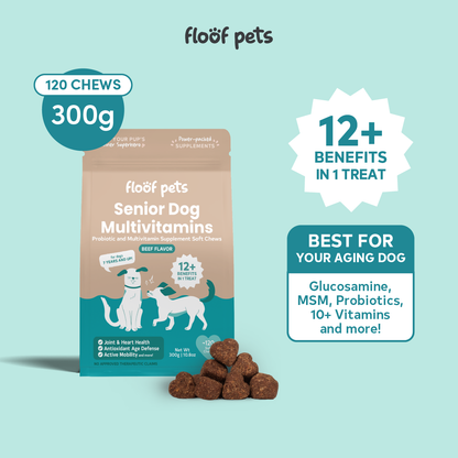 Floof Pets 12-in-1 Senior Dog Multivitamins Healthy Treat Snacks for Aging Dogs