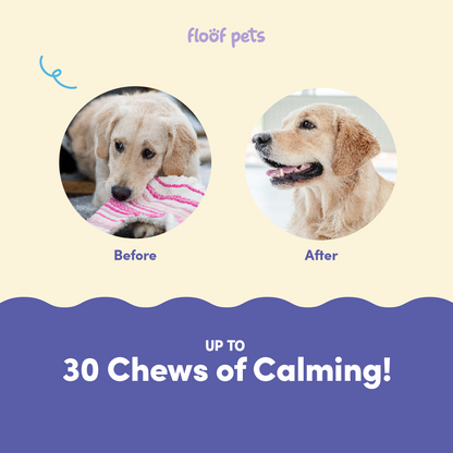 Floof Pets Dog Calming Bites 120 Chews (300g) Treat Snack Supplements for Stress & Anxiety Relief