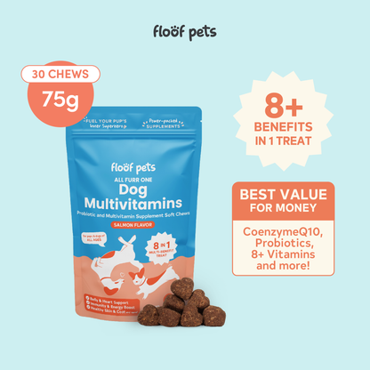 Floof Pets 8-in-1 Dog Multivitamins Pet Supplement Treat Snacks for Complete Health