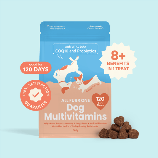 All Furr One Dog Multivitamins (300g)